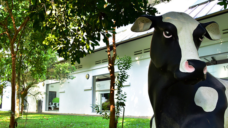 Dairy Farm Nature Park